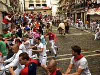 8 người nhập viện ở Lễ hội đấu bò tót ở Tây Ban Nha