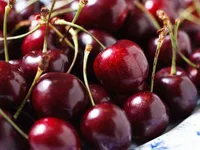 Cherry từ Mỹ nhập về Việt Nam giảm giá gần một nửa