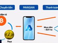 Vạch trần sự thật ví điện tử tự xưng Payasian