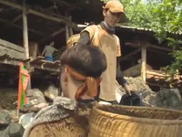 Nhìn ST hứng 'cơn mưa phân bò', Bình An cố nhịn cười trong Cuộc đua kỳ thú