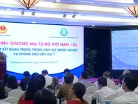 Cơ hội xuất khẩu nông sản khi tham gia EVFTA