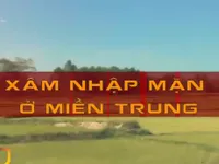 Xâm nhập mặn nghiêm trọng tại miền Trung: Đâu là nguyên nhân?