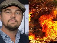 Leonardo DiCaprio hiến 5 triệu USD cứu rừng Amazon