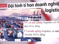 Các doanh nghiệp logistics Việt: 'Đội hình tí hon'