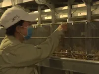 B&igrave;nh Thuận nỗ lực x&uacute;c tiến đầu tư