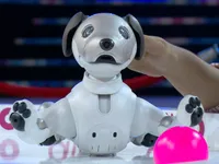 Xem chú chó robot Aibo trổ tài