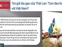 Thái Lan thông qua gói ngân sách 21,5 tỷ Baht đảm bảo giá lúa gạo