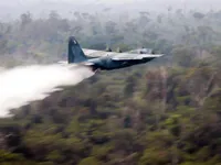 G7 makes 20 million USD aid deal to protect Amazon rainforest