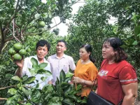 Cần Thơ: Hàng trăm nghìn hộ dân thoát nghèo nhờ vốn tín dụng ngân sách