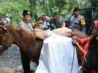 More than 300 workers dead after Indonesian election