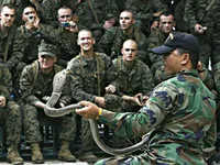 Cobra Gold military exercise kicks off in Thailand
