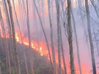 Nhìn lại hiện tượng thời tiết cực đoan trong năm 2019