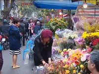 Cảm nhận kh&ocirc;ng kh&iacute; Tết tại phi&ecirc;n chợ hoa H&agrave; Nội ng&agrave;y cuối năm