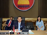 Vietnam chairs meeting of ASEAN-IPR Governing Council