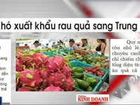 Xuất khẩu rau quả đạt 3,74 tỷ USD trong năm 2019