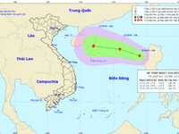 Bão số 6 vừa suy yếu lại xuất hiện áp thấp nhiệt đới mới trên Biển Đông
