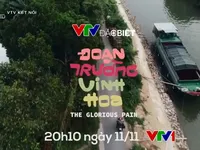 VTV Đặc biệt th&aacute;ng 11: Đoạn trường vinh hoa