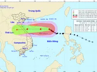 Ven biển từ Hà Tĩnh đến Quảng Trị sẽ bị ảnh hưởng nhiều nhất bởi bão số 8