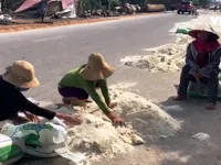 Nỗi buồn của người dân tại 'vựa lúa' miền Trung sau lũ