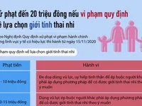 [INFOGRAPHIC] Xử phạt đến 20 triệu đồng nếu vi phạm quy định về lựa chọn giới tính thai nhi