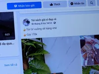 Kế hoạch 399 chống hàng giả trên thương mại điện tử: “Gian thương” liệu có thoát?