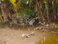 Nguy cơ bùng phát dịch bệnh sau lũ tại các tỉnh miền Trung