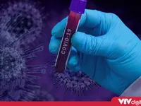 Tin nóng đầu ngày 18/11: Phát hiện biến thể mới của virus SARS-CoV-2