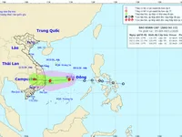 Áp thấp nhiệt đới đã mạnh lên thành bão số 12, có khả năng mạnh thêm