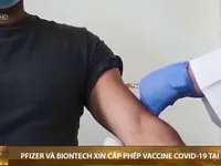 Pfizer và Biontech xin cấp phép vaccine COVID-19 tại EU