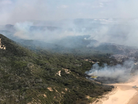 Australia: Cháy rừng bùng phát dữ dội, cư dân trên đảo di sản Fraser sơ tán khẩn cấp