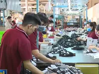 Nếu khống chế được dịch Covid-19, tăng trưởng GDP quý I/2020 dự báo là 6,25#phantram