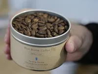 Cà phê Geisha có giá bán đắt nhất thế giới