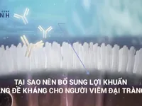 Tại sao nên bổ sung lợi khuẩn để tăng cường đề kháng cho người viêm đại tràng?