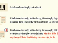 7 trường hợp không được ủy quyền quyết toán thuế thu nhập cá nhân