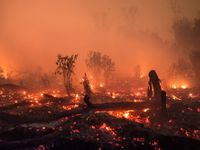 Indonesia làm mưa nhân tạo để chống cháy rừng