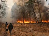 Ukraine: Ô nhiễm không khí nghiêm trọng do cháy rừng