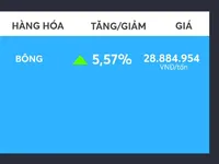 Kỳ vọng giá dầu hồi phục đẩy giá bông sợi lên cao