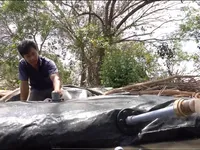 Hạn mặn ở ĐBSCL: Về lâu dài cần xem nước mặn là tài nguyên