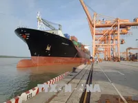 Hải Phòng có 49 bến cảng thuộc hệ thống cảng biển Việt Nam