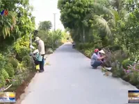 Vĩnh Long kho&aacute;c &aacute;o hoa cho đường n&ocirc;ng th&ocirc;n mới