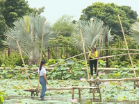 Du lịch tìm kế “hồi sức” trong giai đoạn bình thường mới