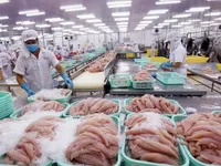 What Vietnam expect to export in coming months