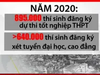 Học nghề ra để làm chủ: Tại sao không?