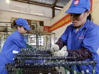 Vietnam is Indonesia’s competitor in foreign investment attraction: Minister