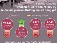 6 tháng năm 2020, xử lý hơn 75.000 vụ buôn lậu, gian lận thương mại và hàng giả