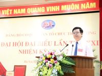 Ông Mai Văn Chính đắc cử Bí thư Đảng ủy cơ quan Ban Tổ chức Trung ương khóa mới