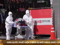 Hàn Quốc phát hiện 3 biến dị mới virus SARS-CoV-2