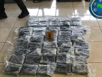 Phát hiện và thu giữ hơn 1 tấn cocaine giấu trong container chở dứa tại Costa Rica