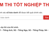 Cách tra cứu điểm thi tốt nghiệp THPT năm 2020