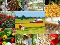 Bảo đảm an ninh lương thực quốc gia đến năm 2030